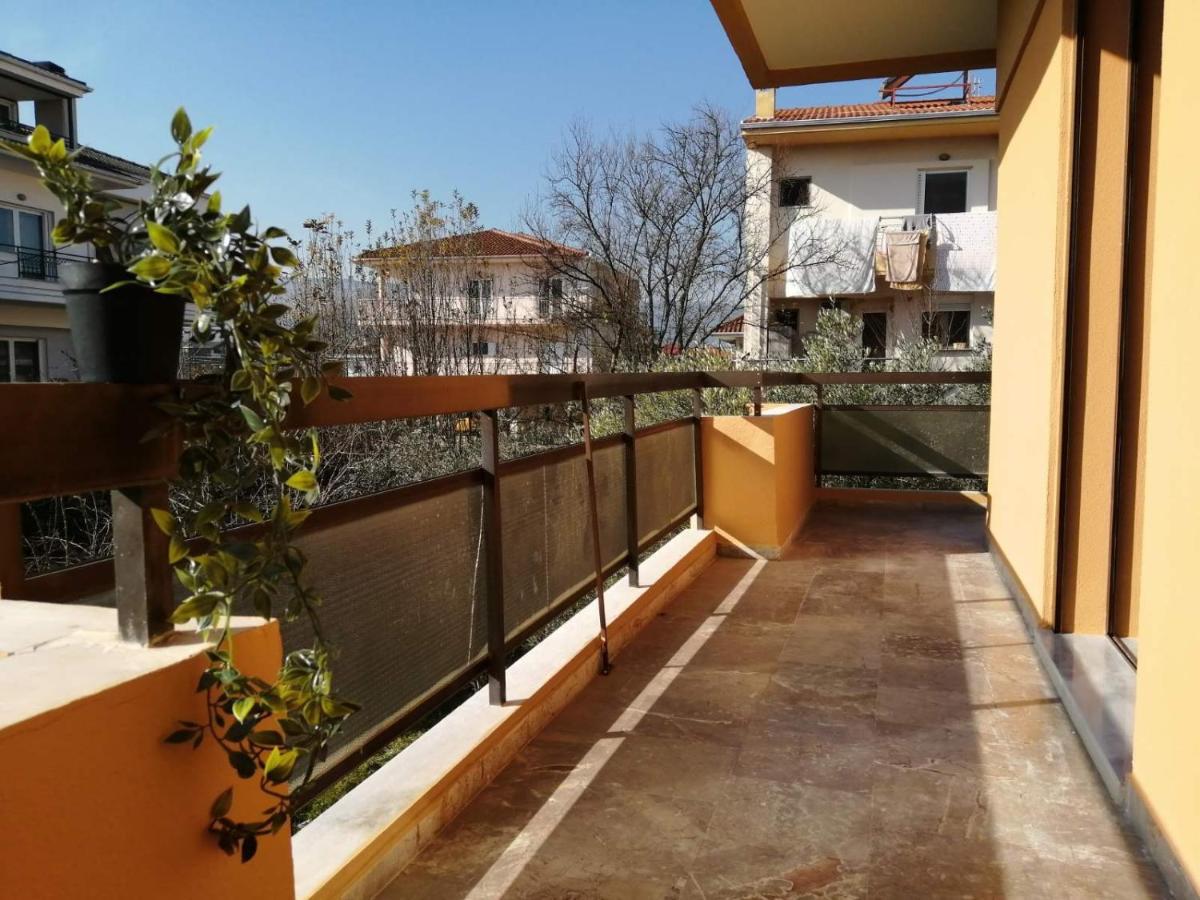 Eleana Appartement Ioannina Buitenkant foto