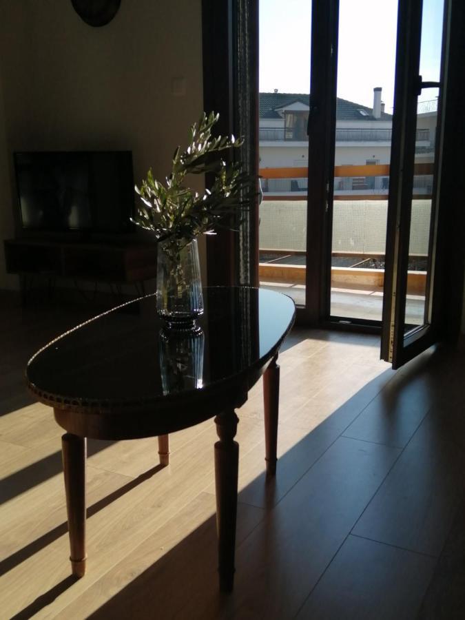 Eleana Appartement Ioannina Buitenkant foto